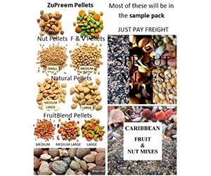 Get Your Free Sample Bag of Absolutely Nuts Australia Sprout Mix