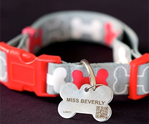 Get Your Free FidoAlert ID & Dog Tag - Protect Your Furry Friend