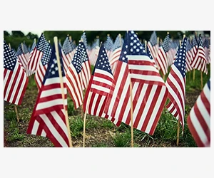 Get Your Free Bumper Sticker - Express Yourself Today!