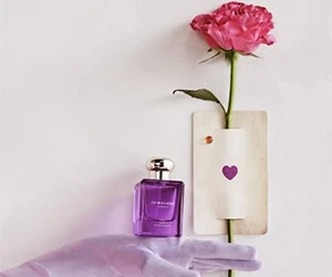 Claim Your FREE Jo Malone Beach Blossom Fragrance Sample - Social Media Exclusive!