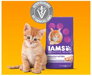 Get Your Free IAMS™ Kitten Dry Food Sample!