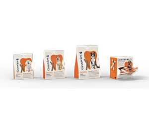 Claim Your Free Groovies Dog Dental Chews - Limited Giveaway!