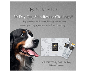 Get Free MIRANEST Jelly Sticks for Dogs – 30-Day Supply Worth $120!