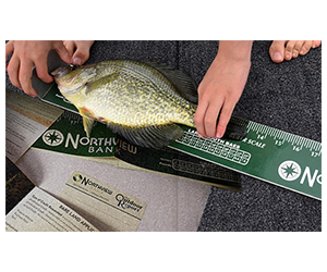 Free Fish Ruler or Game License Holder for Midwest Residents