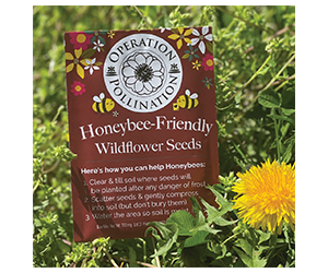 Claim Your Free Wildflower Seed Packet - Support Pollinators!