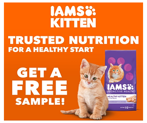 Free Sample of IAMS Kitten Food for Your Growing Feline