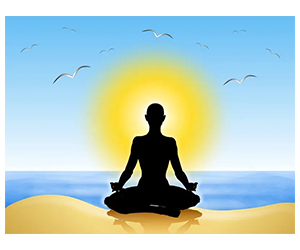 Claim Your Free Zen-Inspired Car Freshener for Surfers