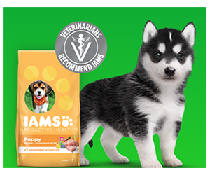 Claim Your Free Sample of IAMS™ Puppy Dry Food Today!