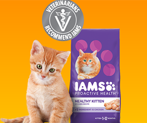 IAMS™ Kitten Dry Food Sample - Nourish Your Kitten with Quality Nutrition!