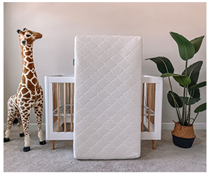 Enter to Win a Newton Crib Mattress!