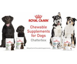 Get Free Royal Canin Chewable Supplements - Limited to 2,000 Dog Parents!