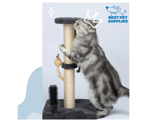 Get a Free Catify Climb ’n’ Scratch Post - The Ultimate Cat Scratcher!